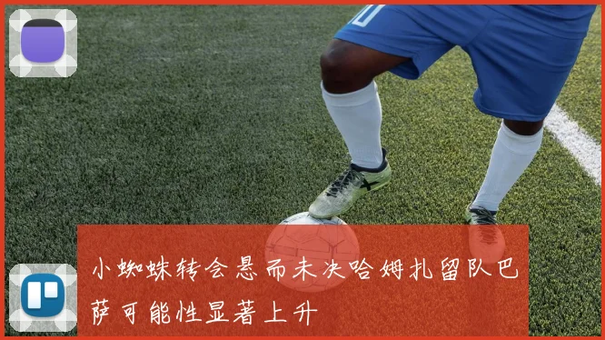 小蜘蛛转会悬而未决哈姆扎留队巴萨可能性显著上升